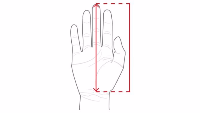 Tabla de tallas para guantes desechables